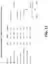 Fig. 12 - PREVENTION OF URINARY TRACT DEVICE ENCRUSTATION