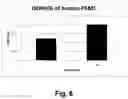 Fig. 07 - Polyunsaturated fatty acid monoglycerides, compositions, methods and uses thereof