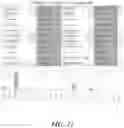Fig. 12 - Terpene-based compositions, methods of preparations and uses thereof