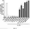 Fig. 08 - Compounds and compositions for inhibiting retinal pigment epithelium degeneration and methods using the same