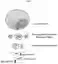 Fig. 02 - METHODS AND COMPOSITIONS FOR TREATING UREA CYCLE DISORDERS, IN PARTICULAR OTC DEFICIENCY