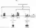 Fig. 05 - METHODS AND COMPOSITIONS FOR TREATING UREA CYCLE DISORDERS, IN PARTICULAR OTC DEFICIENCY