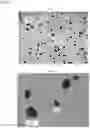 Fig. 03 - FEXOFENADINE MICROCAPSULES AND COMPOSITIONS CONTAINING THEM