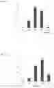 Fig. 12 - FEXOFENADINE MICROCAPSULES AND COMPOSITIONS CONTAINING THEM
