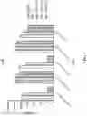 Fig. 02 - TLR7/8 ANTAGONISTS AND USES THEREOF