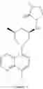 Fig. 352 - TLR7/8 ANTAGONISTS AND USES THEREOF