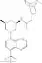 Fig. 643 - TLR7/8 ANTAGONISTS AND USES THEREOF
