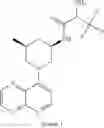 Fig. 962 - TLR7/8 ANTAGONISTS AND USES THEREOF