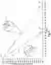 Fig. 06 - Opioid taper regimen