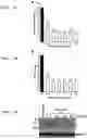 Fig. 04 - Methods of treating or preventing Zika virus infection