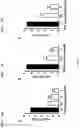 Fig. 05 - Methods of treating or preventing Zika virus infection