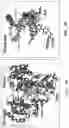 Fig. 09 - Methods of treating or preventing Zika virus infection