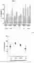 Fig. 04 - Pharmaceutical composition for the treatment of pain