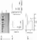 Fig. 06 - Compounds and methods for regulating, limiting, or inhibiting  expression