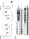 Fig. 09 - Compounds and methods for regulating, limiting, or inhibiting  expression