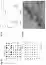 Fig. 18 - Compounds and methods for regulating, limiting, or inhibiting  expression
