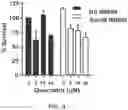 Fig. 07 - Killing senescent cells and treating senescence-associated conditions using a SRC inhibitor and a flavonoid