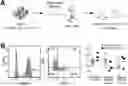 Fig. 01 - Compositions and methods for inhibiting PTPN22