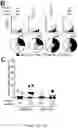 Fig. 08 - Compositions and methods for inhibiting PTPN22