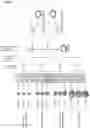 Fig. 03 - COMPOUNDS FOR USE IN REGULATING FOLLICLE MATURATION