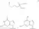 Fig. 08 - Nucleotide analogs