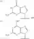 Fig. 17 - Nucleotide analogs