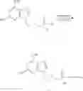 Fig. 241 - Nucleotide analogs