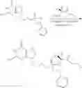 Fig. 258 - Nucleotide analogs