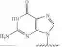 Fig. 307 - Nucleotide analogs