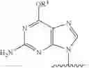 Fig. 308 - Nucleotide analogs