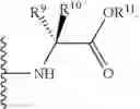 Fig. 93 - Nucleotide analogs
