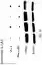 Fig. 17 - METHODS TO TARGET TRANSCRIPTIONAL CONTROL AT SUPER-ENHANCER REGIONS