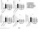 Fig. 03 - Applications of triacetyl-3-hydroxyl phenyl adenosine in treating vascular inflammations or improving vascular endothelium functions