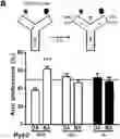 Fig. 01 - Methods and pharmaceutical composition for the treatment of neurodegenerative disease