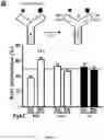 Fig. 02 - Methods and pharmaceutical composition for the treatment of neurodegenerative disease