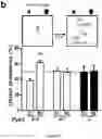 Fig. 03 - Methods and pharmaceutical composition for the treatment of neurodegenerative disease