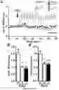 Fig. 04 - Methods and pharmaceutical composition for the treatment of neurodegenerative disease