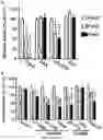 Fig. 05 - Methods and pharmaceutical composition for the treatment of neurodegenerative disease