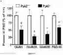 Fig. 06 - Methods and pharmaceutical composition for the treatment of neurodegenerative disease