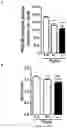 Fig. 07 - Methods and pharmaceutical composition for the treatment of neurodegenerative disease