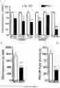Fig. 16 - Methods and pharmaceutical composition for the treatment of neurodegenerative disease