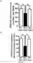 Fig. 20 - Methods and pharmaceutical composition for the treatment of neurodegenerative disease