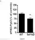 Fig. 22 - Methods and pharmaceutical composition for the treatment of neurodegenerative disease