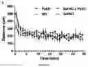 Fig. 23 - Methods and pharmaceutical composition for the treatment of neurodegenerative disease