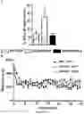 Fig. 28 - Methods and pharmaceutical composition for the treatment of neurodegenerative disease