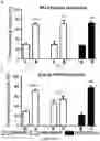 Fig. 30 - Methods and pharmaceutical composition for the treatment of neurodegenerative disease