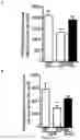 Fig. 32 - Methods and pharmaceutical composition for the treatment of neurodegenerative disease