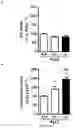 Fig. 33 - Methods and pharmaceutical composition for the treatment of neurodegenerative disease