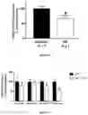 Fig. 35 - Methods and pharmaceutical composition for the treatment of neurodegenerative disease
