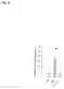 Fig. 32 - MicroRNA-based methods and assays for osteocarcinoma